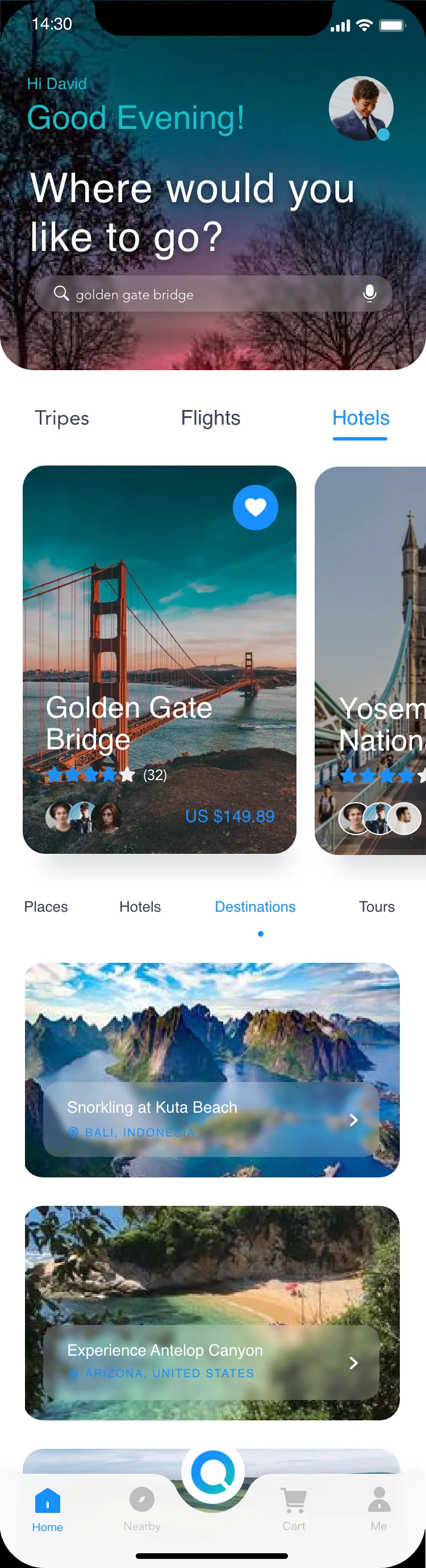 Travel search