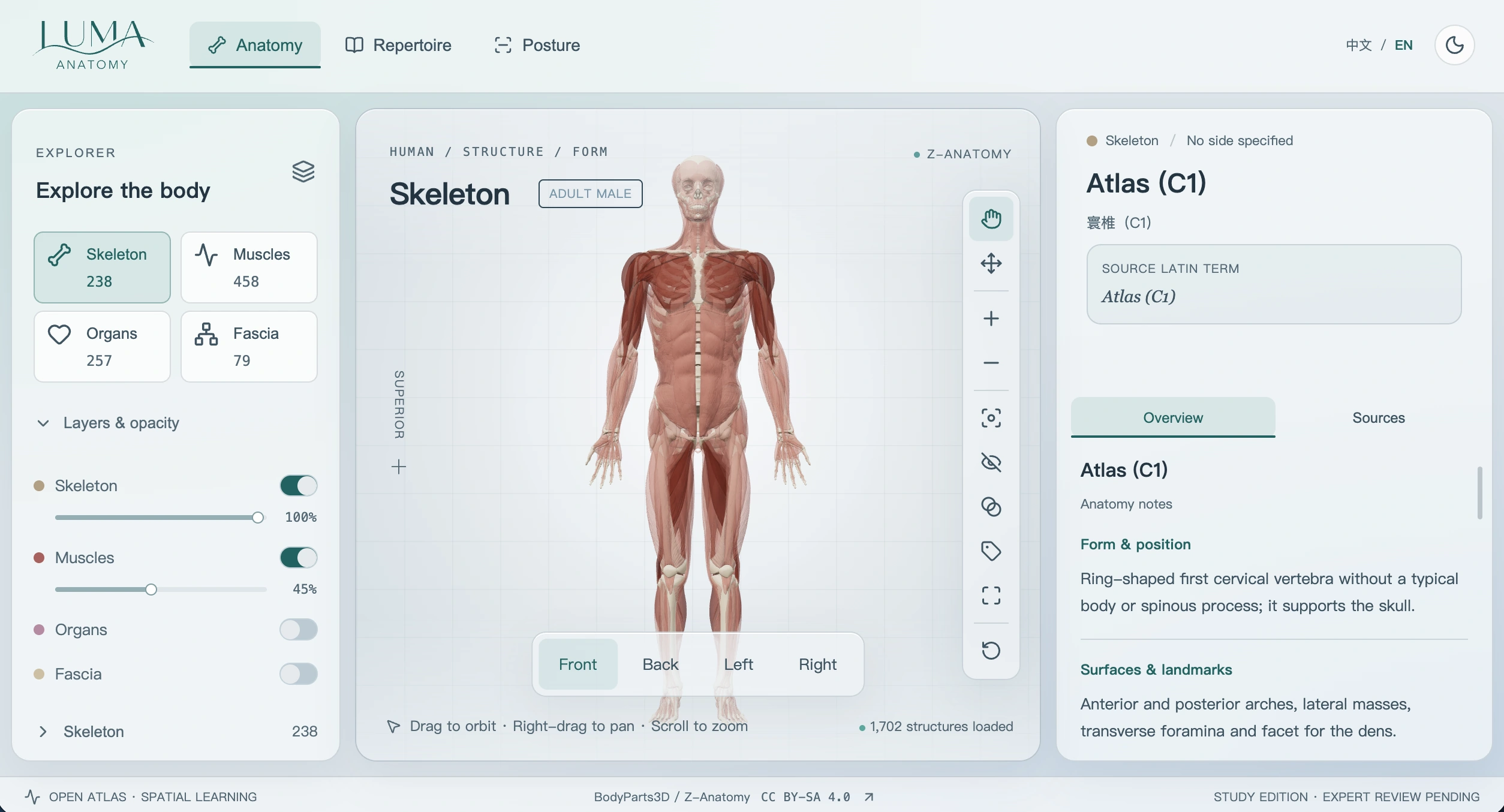 LUMA Anatomy：人体图谱、结构目录与双语知识面板